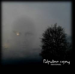 Palpatine Rising : Sentinel